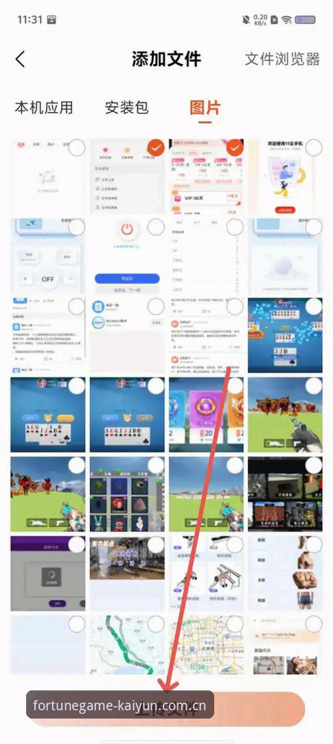 kaiyun体育登录页面使用指南：从新手到高手的完整进阶教程